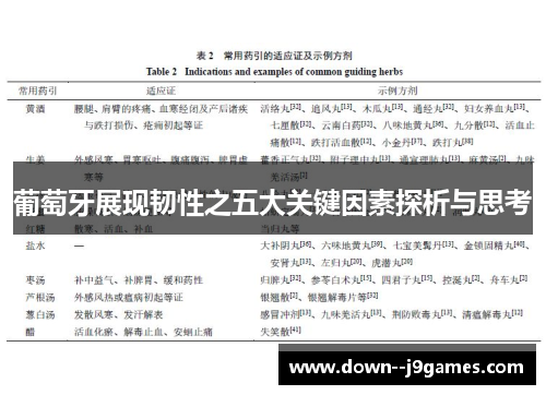 葡萄牙展现韧性之五大关键因素探析与思考
